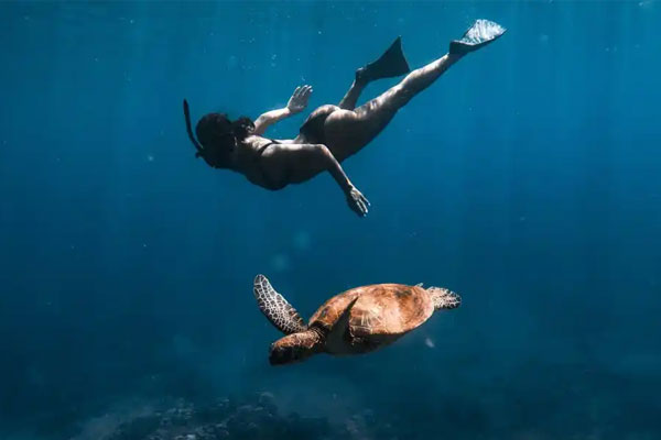 Snorkeling in Oahu, Hawaii, alongside a sea turtle in clear blue tropical waters.